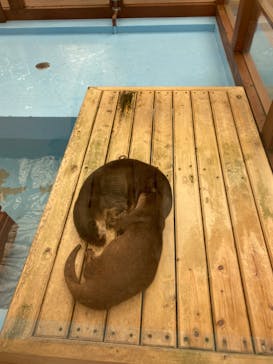 ゼロ距離水族館 伊勢シーパラダイスに投稿された画像（2021/9/16）