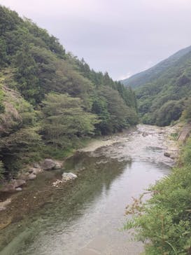 道志川温泉紅椿の湯に投稿された画像（2021/9/16）