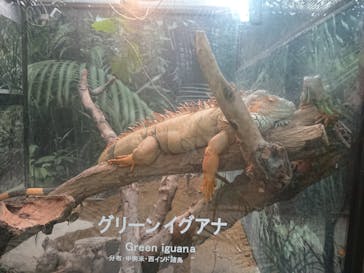 神戸どうぶつ王国に投稿された画像（2021/9/17）