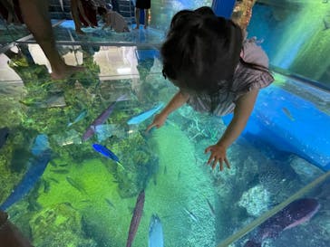 越前松島水族館に投稿された画像（2021/9/17）