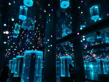 マクセル アクアパーク品川に投稿された画像（2021/9/17）