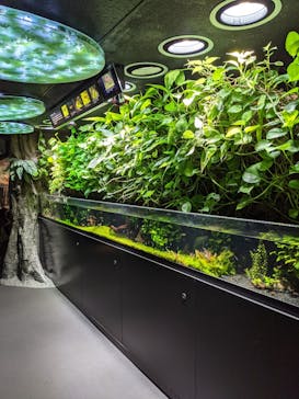 サンシャイン水族館に投稿された画像（2021/9/17）