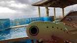 新江ノ島水族館に投稿された画像（2021/9/17）