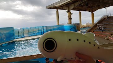 新江ノ島水族館に投稿された画像（2021/9/17）