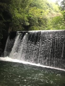 自然派企画に投稿された画像（2021/9/17）