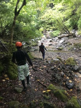 自然派企画に投稿された画像（2021/9/17）