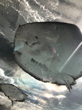 新江ノ島水族館に投稿された画像（2021/9/17）