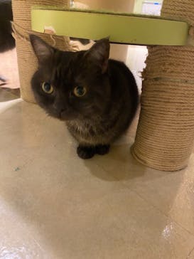 Moff animal world MARK IS みなとみらい店に投稿された画像（2021/9/17）