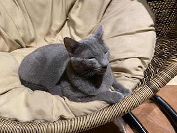 Moff animal world MARK IS みなとみらい店に投稿された画像（2021/9/17）