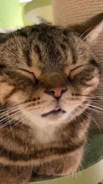 Moff animal world MARK IS みなとみらい店に投稿された画像（2021/9/17）