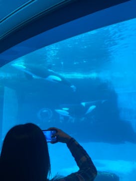 名古屋港水族館に投稿された画像（2021/9/18）