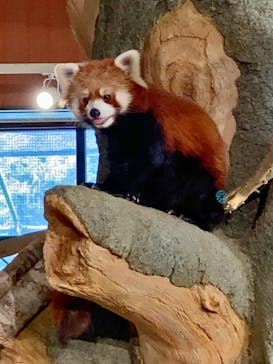 ネオパークオキナワに投稿された画像（2021/9/18）