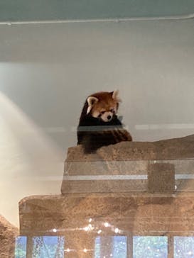 ネオパークオキナワに投稿された画像（2021/9/18）