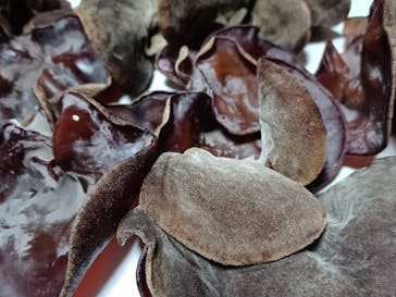 永島農園に投稿された画像（2021/9/18）