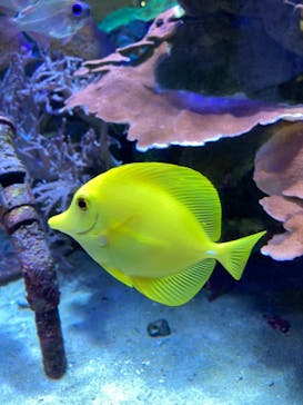 名古屋港水族館に投稿された画像（2021/9/18）