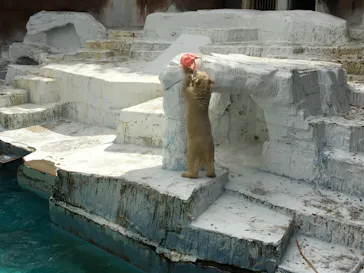 天王寺動物園に投稿された画像（2021/9/18）