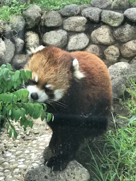 天王寺動物園に投稿された画像（2021/9/18）