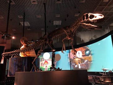 国立科学博物館に投稿された画像（2021/9/18）