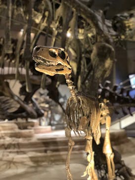 国立科学博物館に投稿された画像（2021/9/18）