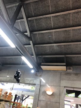 ストーンミュージアム博石館に投稿された画像（2021/9/18）