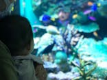 サンシャイン水族館に投稿された画像（2021/9/18）