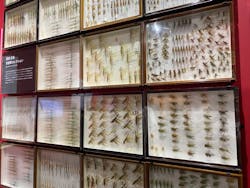 特別展「昆虫」(名古屋市科学館)に投稿された画像（2021/9/18）