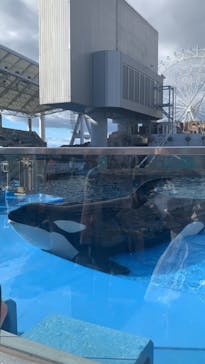 名古屋港水族館に投稿された画像（2021/9/18）