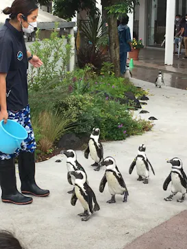 横浜・八景島シーパラダイスに投稿された画像（2021/9/18）