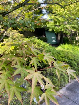 上方温泉 一休 京都本館に投稿された画像（2021/9/18）