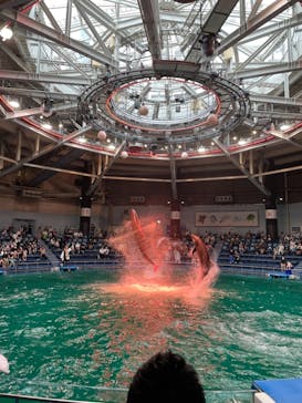 マクセル アクアパーク品川に投稿された画像（2021/9/18）