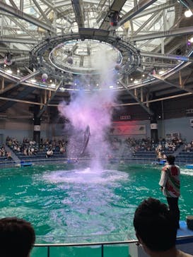 マクセル アクアパーク品川に投稿された画像（2021/9/18）