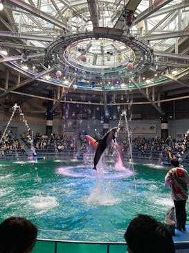 マクセル アクアパーク品川に投稿された画像（2021/9/18）