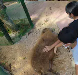 美らヤシパークオキナワ・東南植物楽園に投稿された画像（2021/9/18）