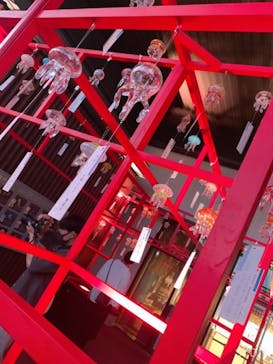 京都水族館に投稿された画像（2021/9/18）