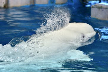 名古屋港水族館に投稿された画像（2021/9/18）