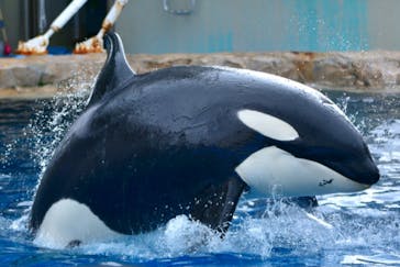 名古屋港水族館に投稿された画像（2021/9/18）