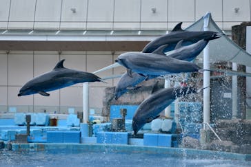 名古屋港水族館に投稿された画像（2021/9/18）
