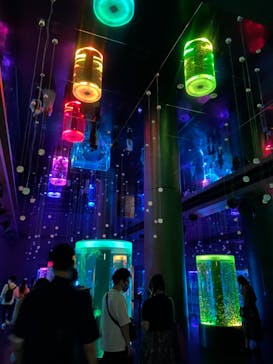 マクセル アクアパーク品川に投稿された画像（2021/9/18）