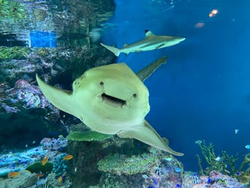 マクセル アクアパーク品川に投稿された画像（2021/9/18）