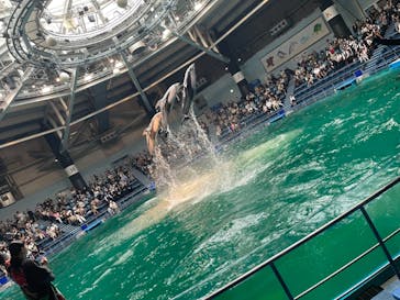 マクセル アクアパーク品川に投稿された画像（2021/9/18）