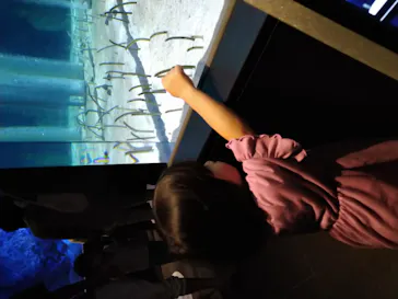 すみだ水族館に投稿された画像（2021/9/18）