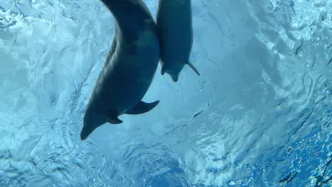 横浜・八景島シーパラダイスに投稿された画像（2021/9/18）