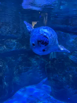 横浜・八景島シーパラダイスに投稿された画像（2021/9/18）