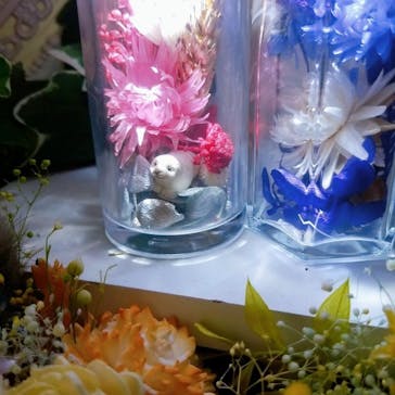 ずこうしつ〜sugamo〜に投稿された画像（2021/9/18）