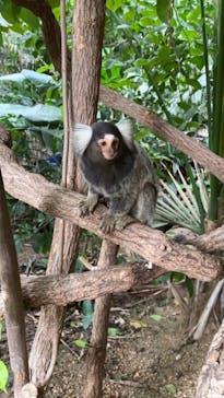 神戸どうぶつ王国に投稿された画像（2021/9/18）