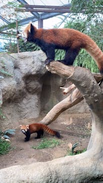 神戸どうぶつ王国に投稿された画像（2021/9/18）