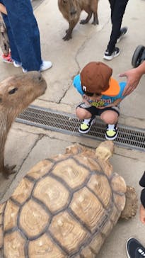 神戸どうぶつ王国に投稿された画像（2021/9/18）