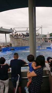 大分マリーンパレス水族館 「うみたまご」に投稿された画像（2021/9/19）