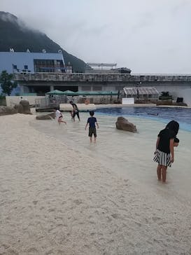 大分マリーンパレス水族館 「うみたまご」に投稿された画像（2021/9/19）