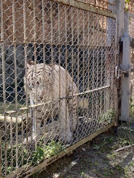 東武動物公園に投稿された画像（2021/9/19）